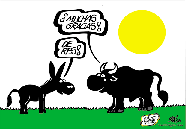 Se prohibe en Cataluña el espectáculo de matanzas de toros